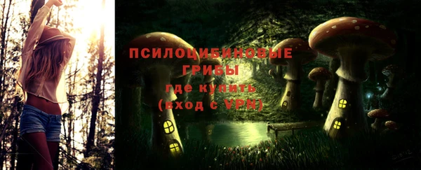 молекула духа Алзамай