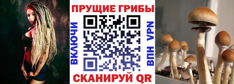 купить наркотики цена  Островной  Галлюциногенные грибы мухоморы 